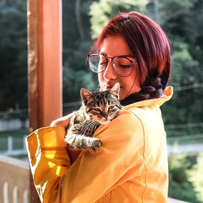 Как нас лечат домашние животные: 10 незаметных способов