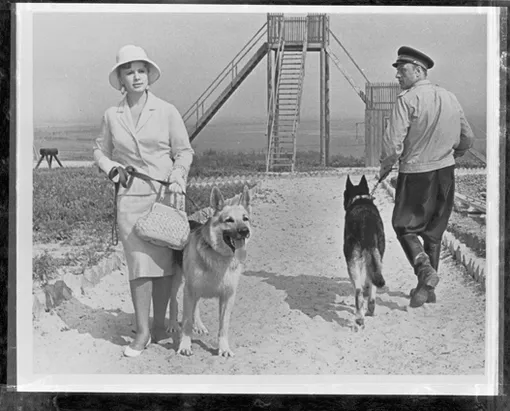 Алла Ларионова в фильме «Ко мне, Мухтар!» Алла Ларионова в фильме «Ко мне, Мухтар!»