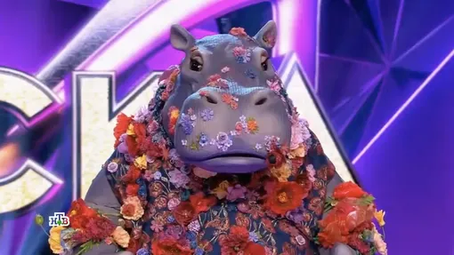 Гиппопотам Гиппопотам