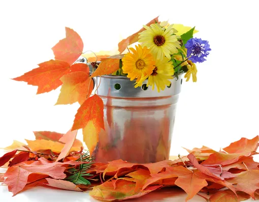 5 осенних трендов, которые мгновенно делают дом безвкусным