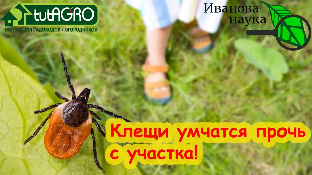 Нажми и смотри Нажми и смотри