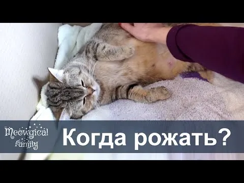 Нажми и смотри