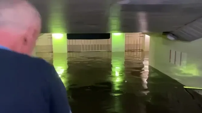 Нажми и смотри