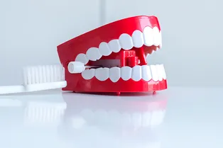 Семья несколько часов искала бабушкину вставную челюсть. И вот где она была