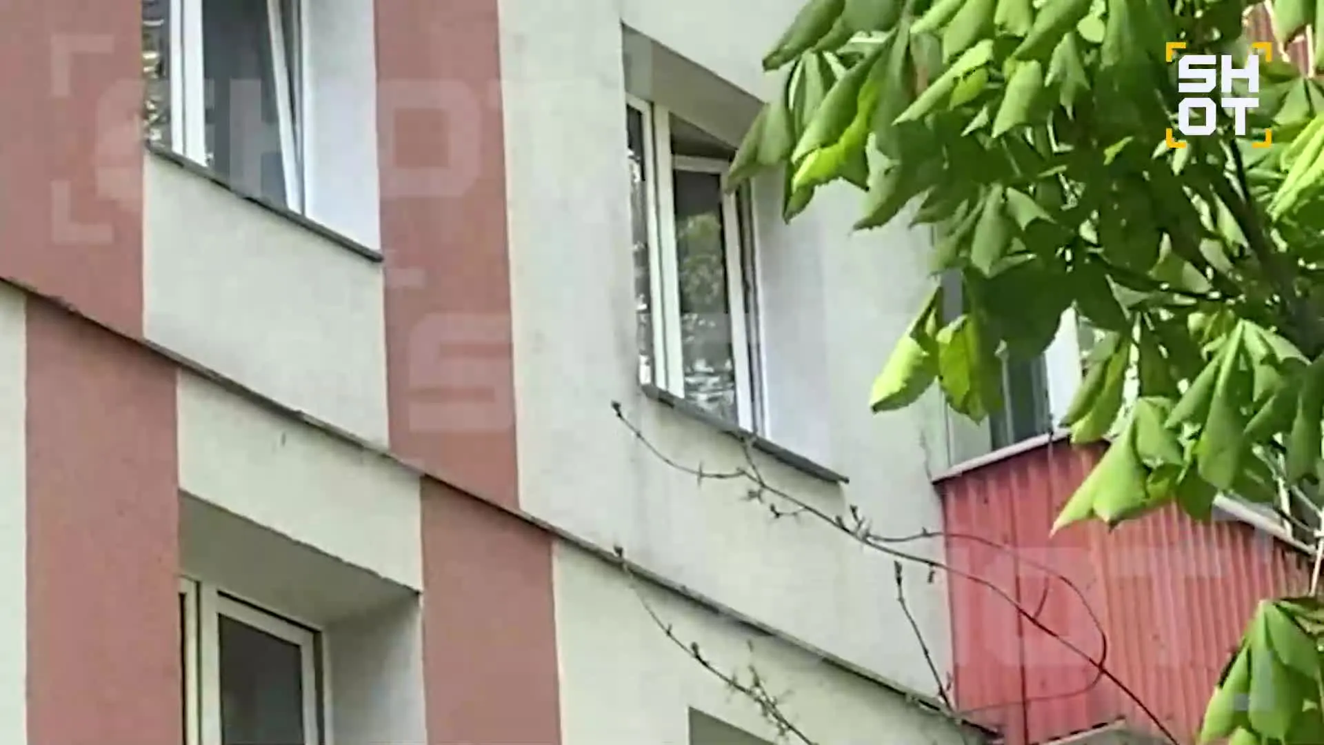 Нажми и смотри Нажми и смотри