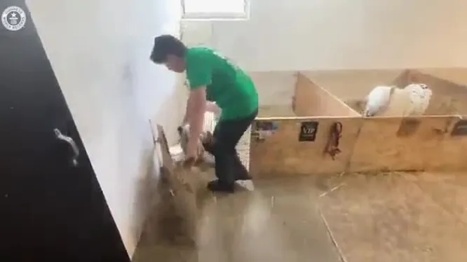 Нажми и смотри Нажми и смотри