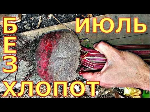 Нажми и смотри