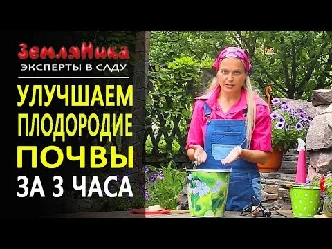 Нажми и смотри Нажми и смотри