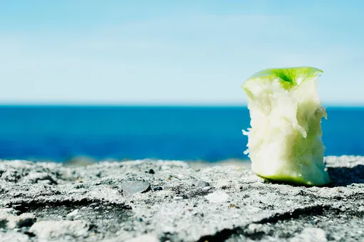 Почему нельзя выбрасывать огрызки яблок из окна автомобиля