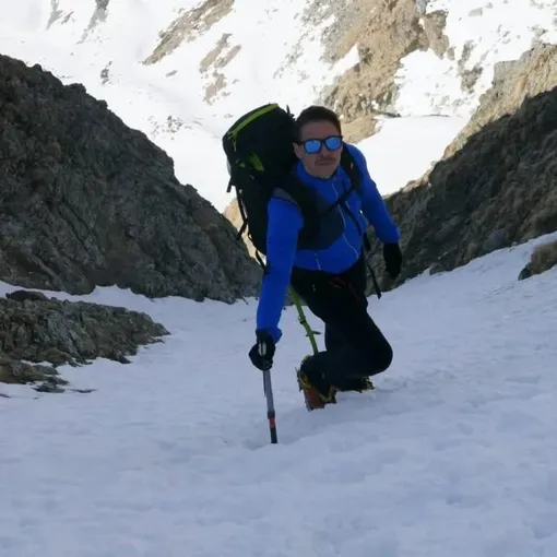 лука синегалья