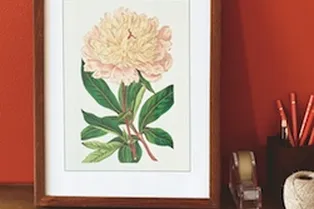 Картинки из старого календаря