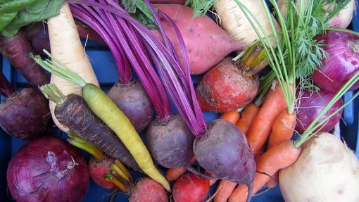 Какие овощи сеять под зиму Какие овощи сеять под зиму