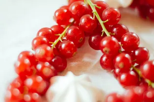 Обрезка смородины: правила, особенности и уход