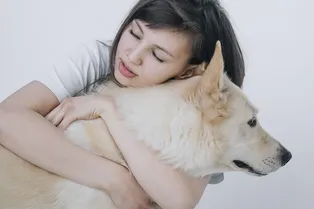 Собака увидела хозяйку после долгой разлуки. Ее восторг не передать