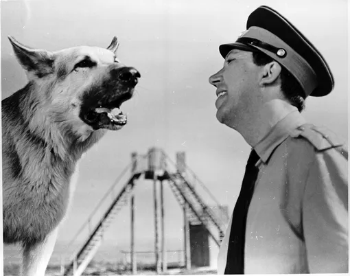 Юрий Никулин и пес Дейк Юрий Никулин и пес Дейк