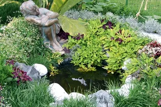 Садовый фэн-шуй