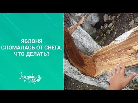 Нажми и смотри