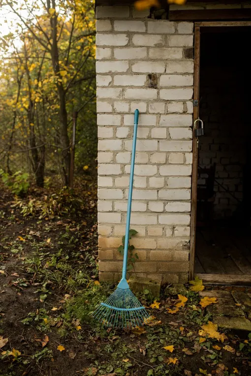 Грабли Грабли