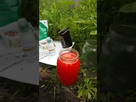 Нажми и смотри