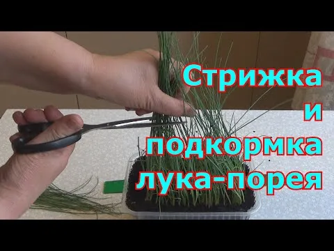 Нажми и смотри