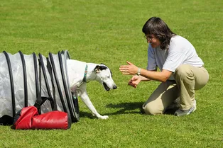 Собака ведёт себя при кинологе прилично, а с хозяином нет — в чём причина?