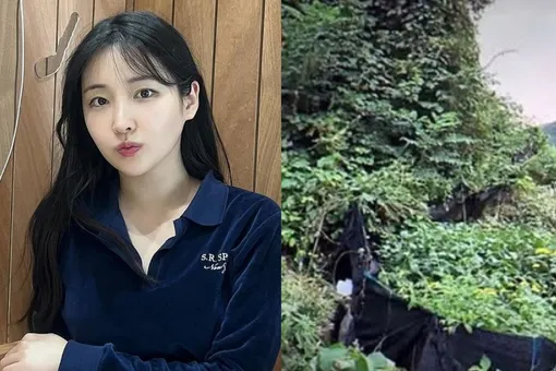 Запихнул тело в чемодан и выбросил в горы: фанат убил актрису спустя полчаса после стрима