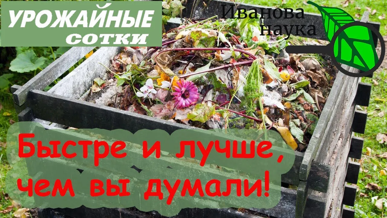 Нажми и смотри Нажми и смотри