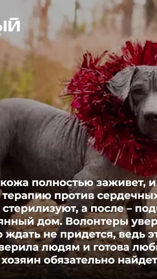 Нажми и смотри