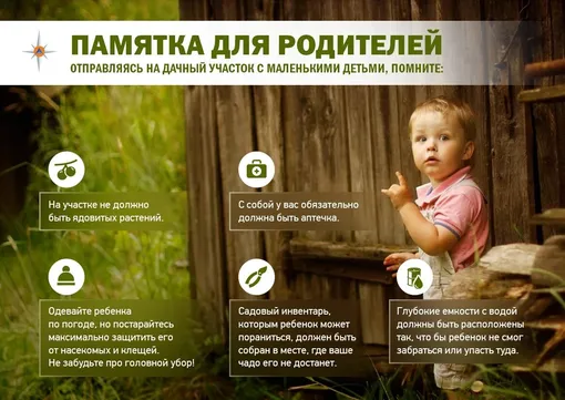 Дополнительные простые советы по безопасности детей на даче Дополнительные простые советы по безопасности детей на даче