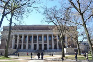 Исследовавшую честность учёную из Гарварда поймали на лжи. Она сразу ушла в отпуск