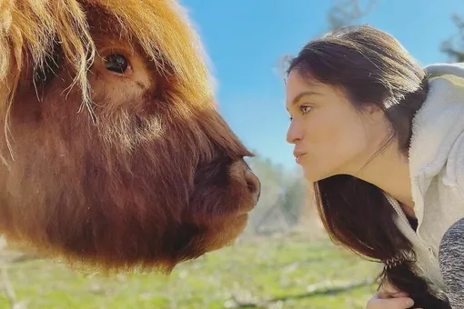 Змеи, ламы, свиньи и не только: американка устроила дома приют для 175 животных Змеи, ламы, свиньи и не только: американка устроила дома приют для 175 животных