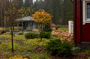 Где нужно ставить кухню-беседку, чтобы пользоваться ей круглый год?
