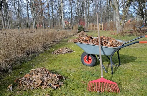 Очистка грядок после окончания сезона Очистка грядок после окончания сезона