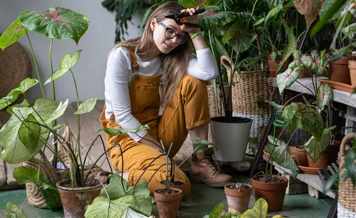 Осторожно! Эти 4 ошибки могут погубить ваши комнатные растения Осторожно! Эти 4 ошибки могут погубить ваши комнатные растения