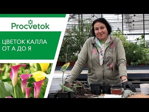 Нажми и смотри