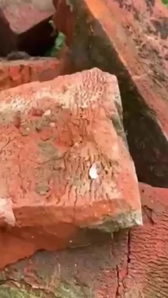 Нажми и смотри