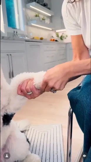 кухня брук шилдс кухня брук шилдс