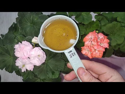 Нажми и смотри