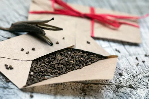 6 умных способов хранения семян зимой 6 умных способов хранения семян зимой