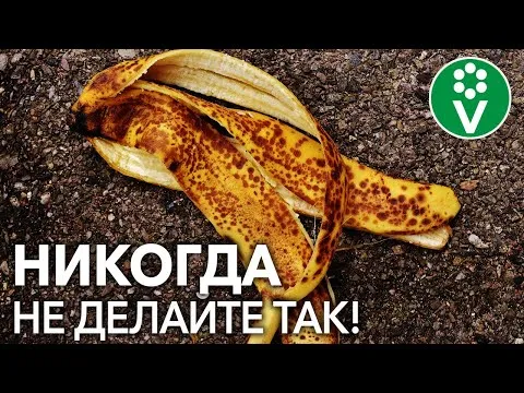 Нажми и смотри