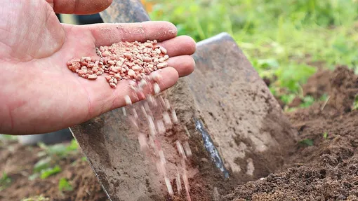 Диатомит для улучшения структуры почвы