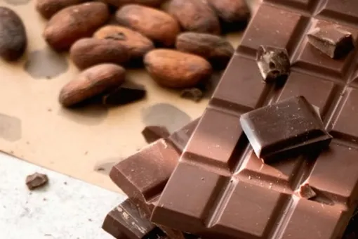 Вкус шоколада разгадали учёные: всё дело — в микробах Вкус шоколада разгадали учёные: всё дело — в микробах
