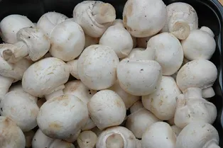 Как грибы после дождя: на московских газонах выросли шампиньоны Как грибы после дождя: на московских газонах выросли шампиньоны