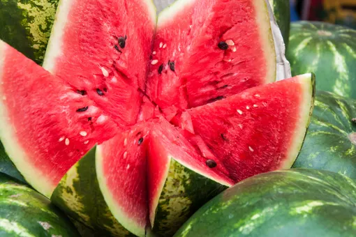 5 способов сохранить арбуз до Нового года 5 способов сохранить арбуз до Нового года