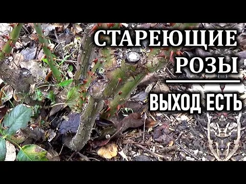 Нажми и смотри
