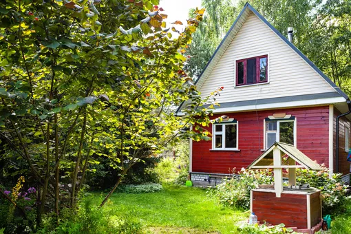 Как защитить урожай в жару фото Как защитить урожай в жару фото