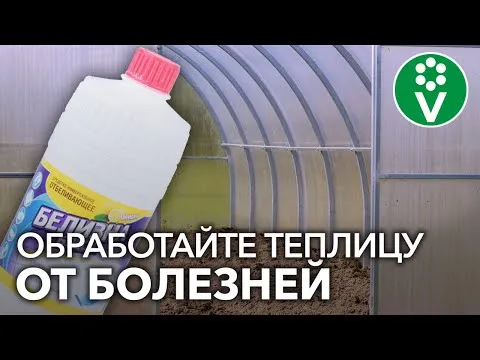 Нажми и смотри