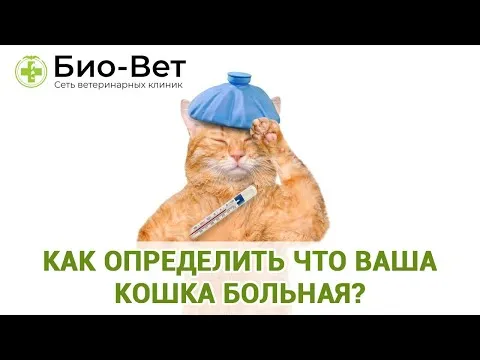 Нажми и смотри