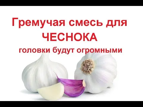 Нажми и смотри