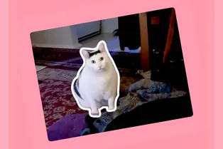 Не русский, дома «быкует»: интересные факты и лучшие мемы с котом Бендером